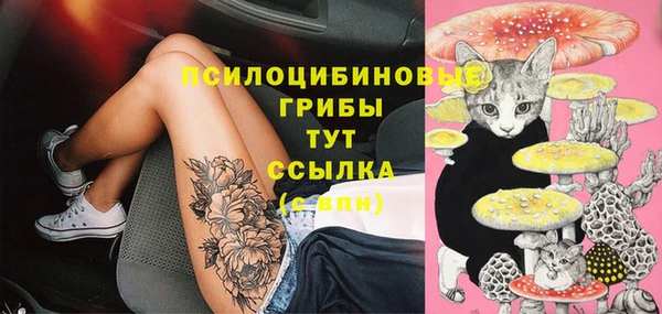 ГАЛЛЮЦИНОГЕННЫЕ ГРИБЫ Беломорск