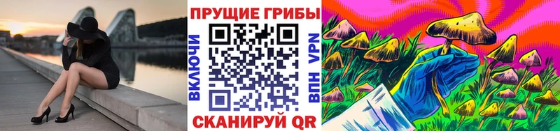 Галлюциногенные грибы мухоморы кракен маркетплейс Волгореченск